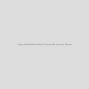 Caran d'Ache Neo Colour II Aquarelle Crayons Brown
