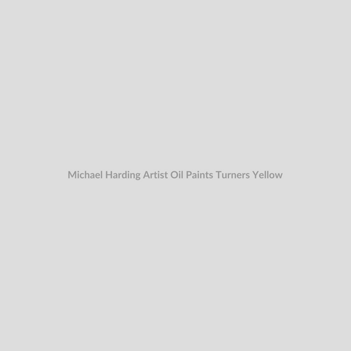 Michael Harding Artist Oil Paints Turners Yellow