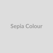 Art Spectrum Liquid Spectrum Ink Sepia Colour Swatch
