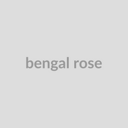 Bengal Rose