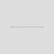 Michael Harding Artist Oil Paints Lead Tin Yellow Light