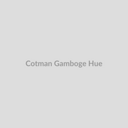 Winsor & Newton Cotman Watercolours Gamboge Hue