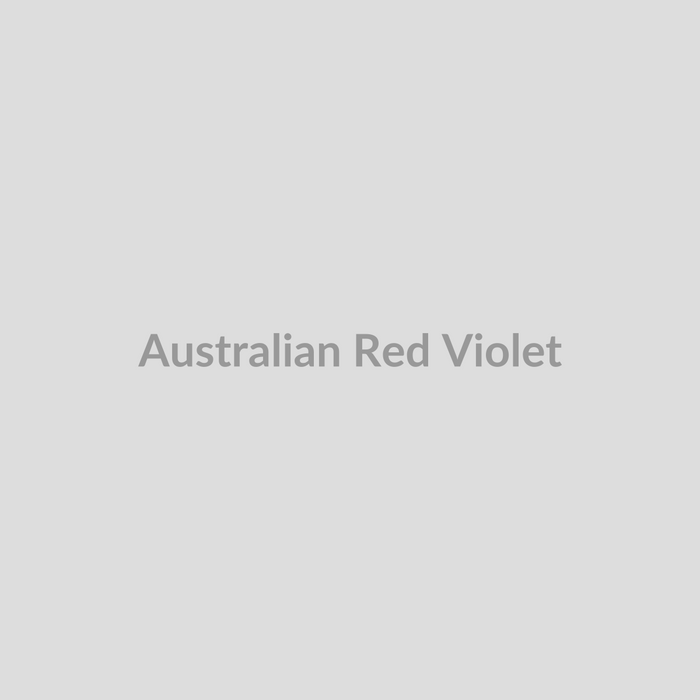 Australian Red Violet