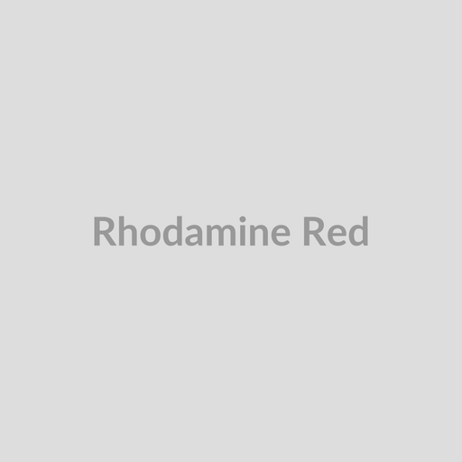Rhodamine Red