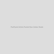 PanPastel Artists Pastels Raw Umber Shade