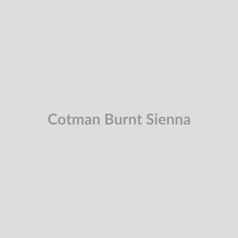 Winsor & Newton Cotman Watercolours Burnt Sienna