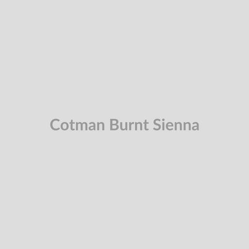 Winsor & Newton Cotman Watercolours Burnt Sienna