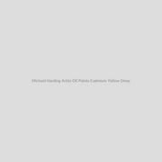 Michael Harding Artist Oil Paints Cadmium Yellow Deep
