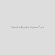 Genuine Naples Yellow Dark