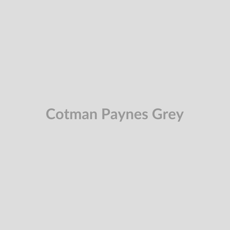 Winsor & Newton Cotman Watercolours Payne's Grey