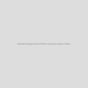 Michael Harding Artist Oil Paints Cadmium Golden Yellow