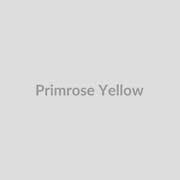 Primrose Yellow