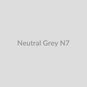 Neutral Grey N7