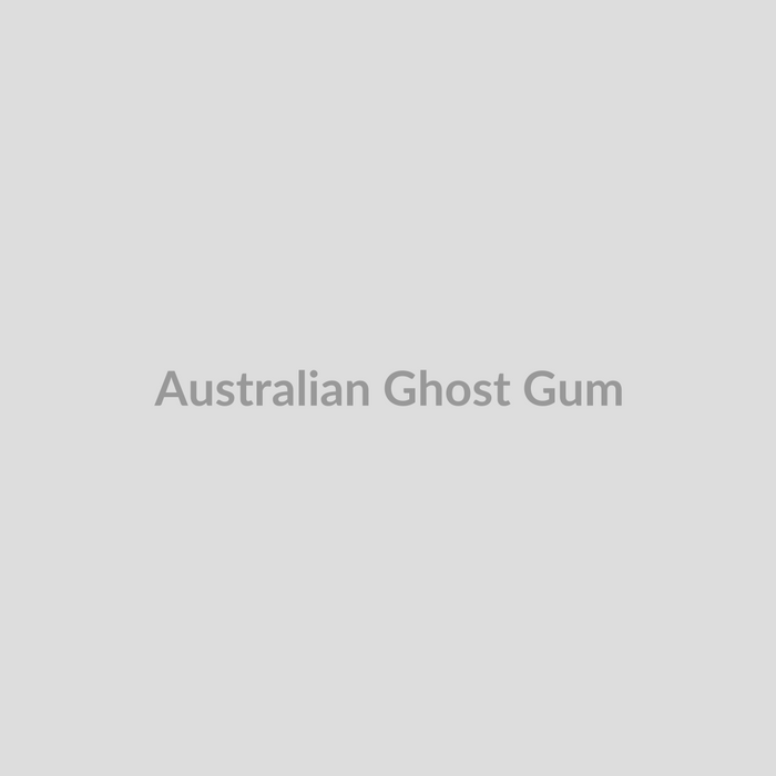 Australian Ghost Gum
