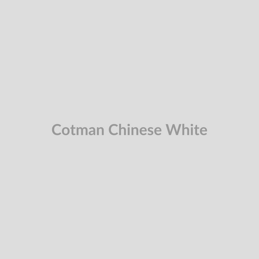 Winsor & Newton Cotman Watercolours Chinese White