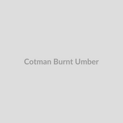 Winsor & Newton Cotman Watercolours Burnt Umber