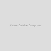 Winsor & Newton Cotman Watercolours Cadmium Orange Hue