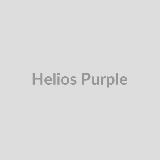 Helios Purple