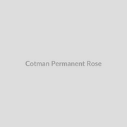 Winsor & Newton Cotman Watercolours Permanent Rose