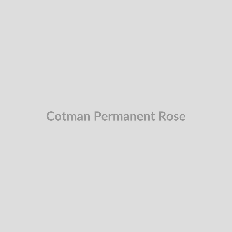 Winsor & Newton Cotman Watercolours Permanent Rose