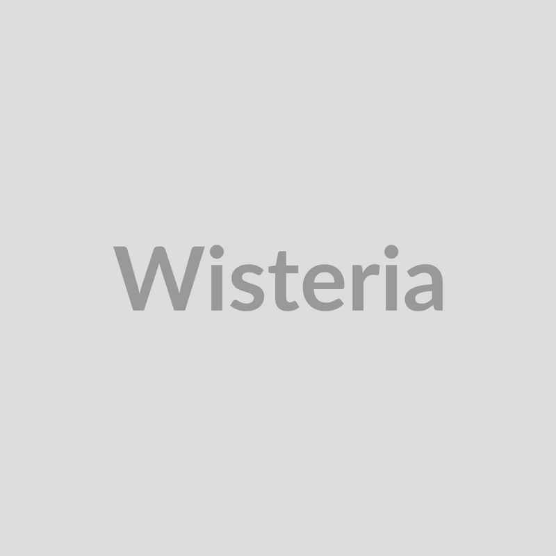 Wisteria