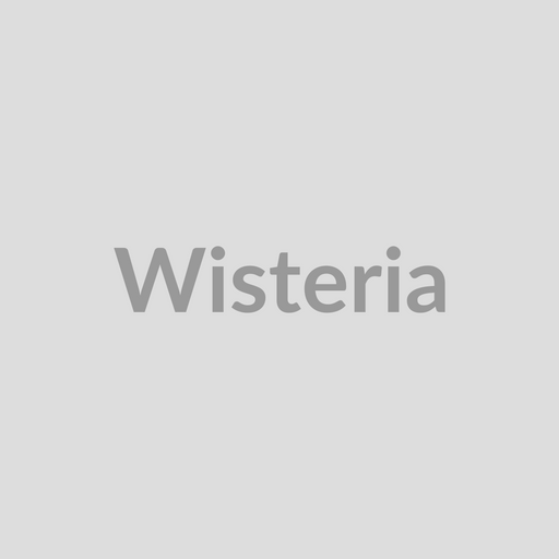 Wisteria