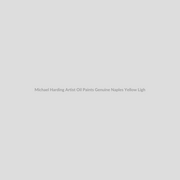 Michael Harding Artist Oil Paints Genuine Naples Yellow Light