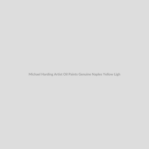 Michael Harding Artist Oil Paints Genuine Naples Yellow Light