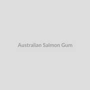 Australian Salmon Gum