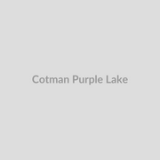 Winsor & Newton Cotman Watercolours Purple Lake