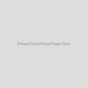Prisma Favini Pastel Paper Grey