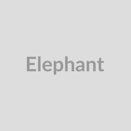 Colourfix Pastel Paper Elephant