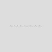 Caran d'Ache Neo Colour II Aquarelle Crayons Payne's Grey