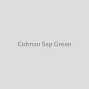 Winsor & Newton Cotman Watercolours Sap Green