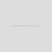 Michael Harding Artist Oil Paints Cadmium Yellow Lemon